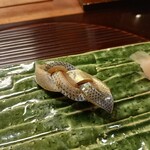 伊勢藤 いせずし - コハダ