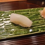 伊勢藤 いせずし - アオリイカ