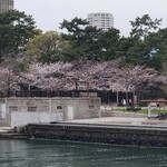 カジュアルフレンチBar 7FUKU - 