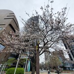 カジュアルフレンチBar 7FUKU - 