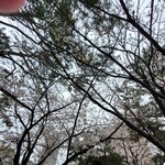 カジュアルフレンチBar 7FUKU - 