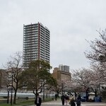 カジュアルフレンチBar 7FUKU - 