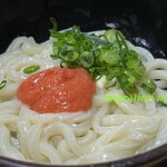 さか枝うどん - 
