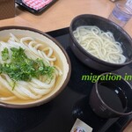 さか枝うどん - 