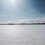 ファームレストラン野島さんち - 近隣の風景