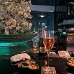 スカイギャラリーラウンジ レヴィータ - 