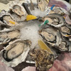 Oyster Bar ジャックポット - 