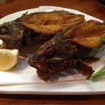 魚魚魚 - カサゴの唐揚げ