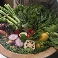 レフェルヴェソンス - 