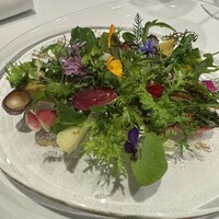 レフェルヴェソンス - 