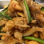 鉄板中華・担々麺 究 Kiwa - 