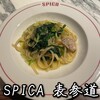 SPICA - 