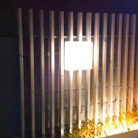 鮨 しゅん輔 阿佐ヶ谷 - 店名が写らない(>_<)