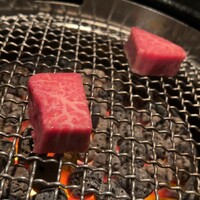 牛牛 西麻布 総本店 - 