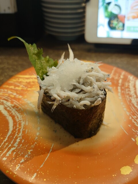 Kaiten Sushi Shintake Yao Ten photo 2