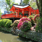Le KURO - 根津神社の快晴で美しいつつじ