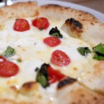 RIGOLETTO BAR AND GRILL - 