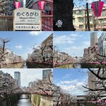 スターバックス リザーブ ロースタリー トウキョウ - 