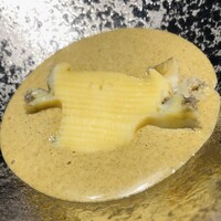 鮨 無垢/鮨 白銀 - 