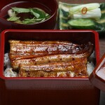 Unagi Dousan Ryouri Oosuke Bettei - 