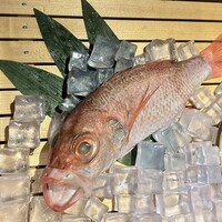 のどぐろ専門 銀座 中俣 - 