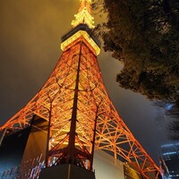 ワカヌイ グリル ダイニング バー 東京 - 