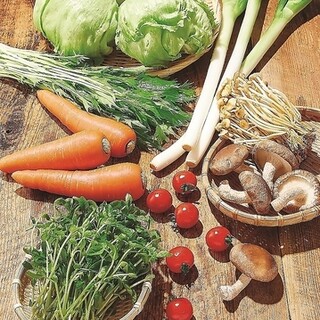 We offer seasonal vegetables that go well with shabu shabu, with a focus on freshness