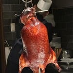 241394505 - 
