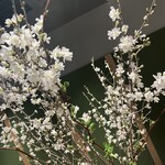 Robata Ochi - 花は旬よって変わるそう！今回行った時は桜が咲いてました！