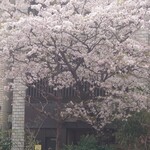 御菓子処 さゝま - 