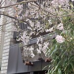 御菓子処 さゝま - 