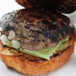 FELLOWS - ＢＢＱソースが美味しい