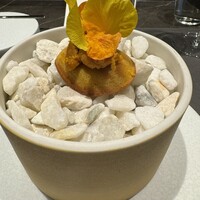 CIRPAS - 
