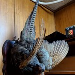 魚春 - 雉の剥製にビックリ！！