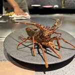 Ebisu Teppanyaki Suburimu - 