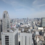 SKY PLAZA IBASHO - 