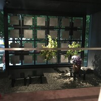 博多もつ鍋 やま中 赤坂店 - 