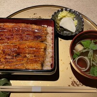 うなぎ 目白ぞろ芽 - 