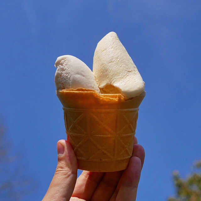 Hattori Bokujou Ice cream Kobo Kasaringa, Aiko-gun, Japan