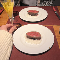 Potoro - 
