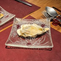 Potoro - 