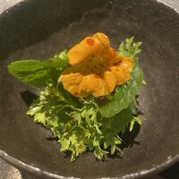 アニエルドール - 
