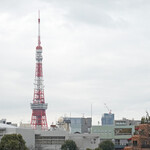 ディヤ - 花曇りの東京タワー