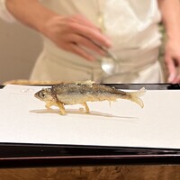天七 - 