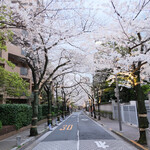 LANIGIRO - アークヒルズ桜並木の7分咲きの桜
