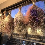 チーズのトリコ - 