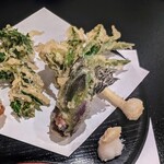 郷土料理ともん - 埼玉県のタラの芽。十代で戴冠したピチピチの王様って感じ