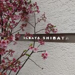 Shibata - 