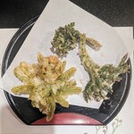 郷土料理ともん - フキノトウ、山ウド、セリ