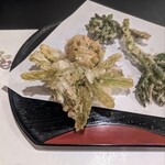 郷土料理ともん - 新潟物のフキノトウ。こちらは二十代の全盛